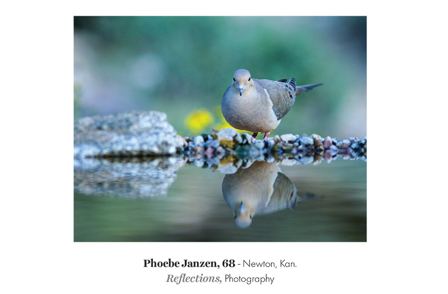 Postcard - Reflections by Phoebe Janzen