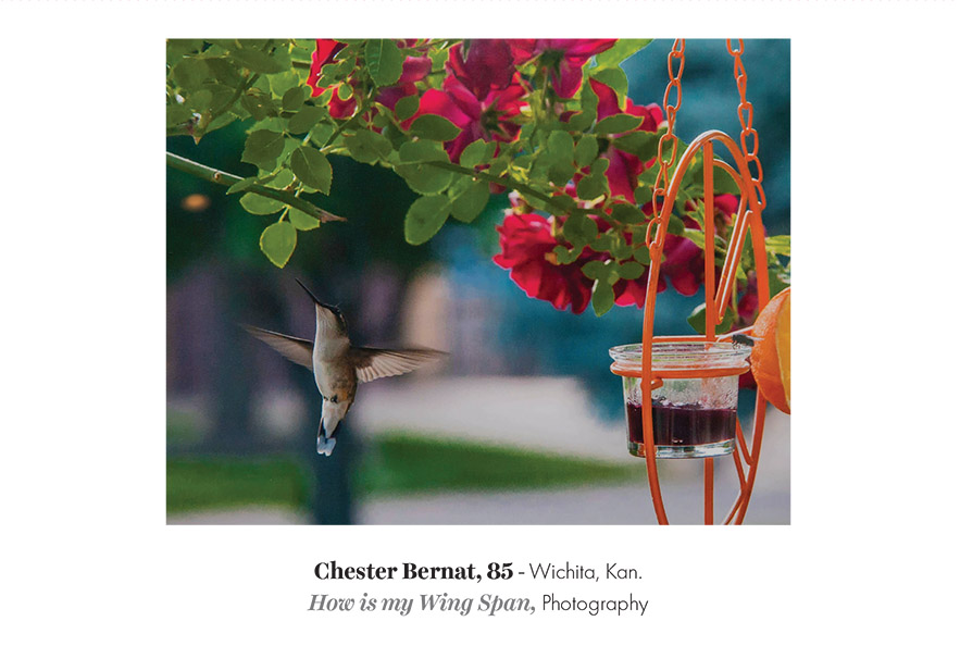 Postcard - How is my Wing Span by Chester Bernat