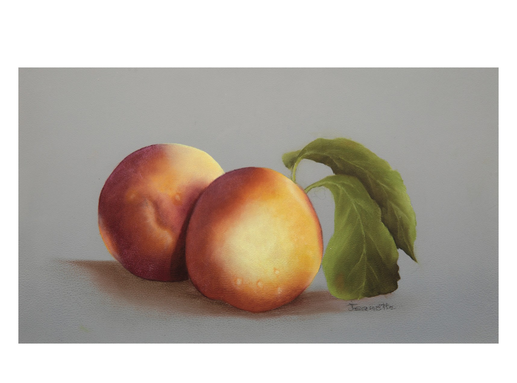 Blank - Peaches and Cream by Jeanette Bishop
