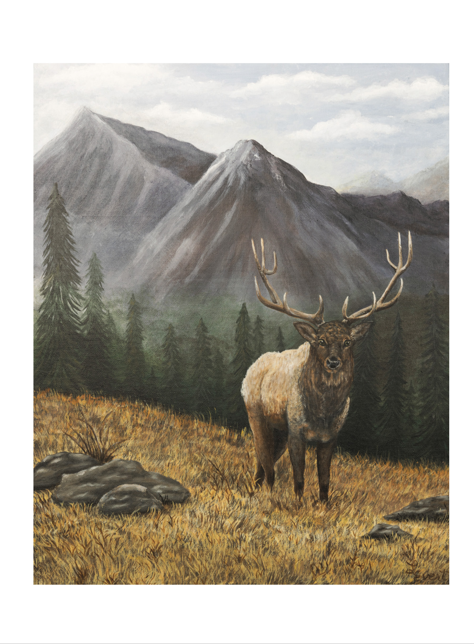 Male Birthday - Majestic Bull Elk by Lorraine Evert