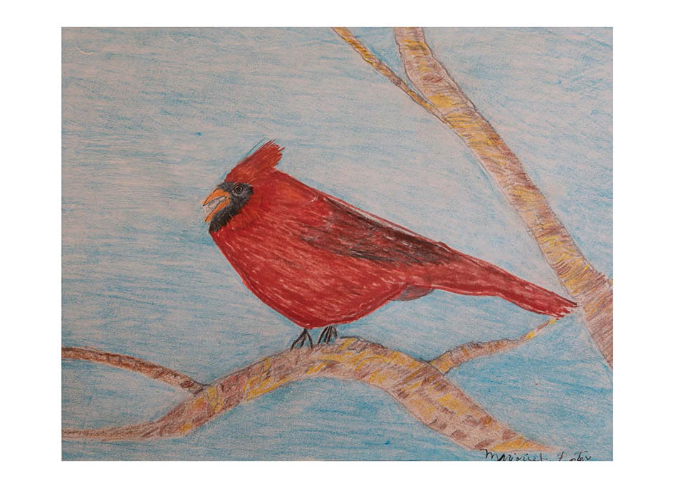 Thinking of You - Red Bird by Marjorie Grator