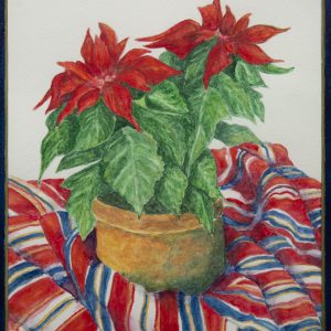 Poinsettia and Fabric - image of terra cotta pot containing poinsettia plant with two red blooms. Pot is sitting on red, white, blue and yellow striped fabric.