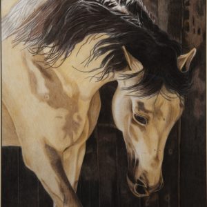 Drawing - Power Spirit and Beauty - drawing in color of front flank of a horse