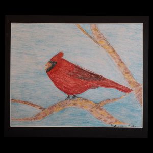 Drawing - Red Bird - drawing in color of a red bird on a branch