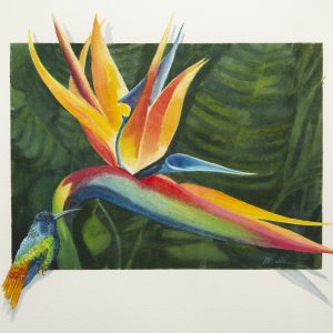 Painting - Bird of Paradise - painting of the flower Bird of Paradise in vibrant colors of red, orange, yellow, blue and green. In the forefront is a small colorful bird looking at the flower.