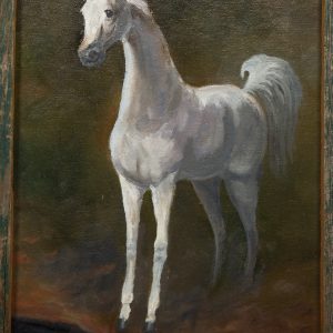 Painting - Gray Horse - painting of gray horse standing at edge of water at attention with head and tail raised.