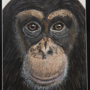 Painting - Louie - painting of a chimpanzee face with a soft expression