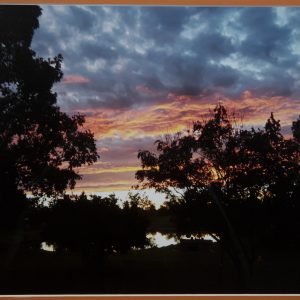 Photography - A New Day - photograph of a beautiful sunrise of yellow/orange above tree tops with a deep blue cloudy sky.