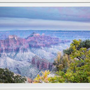 Photography - North Rim - photograph of the north rim of the grand canyon featuring beautiful colors of blue, copper and brown with foliage and trees in the forefront.