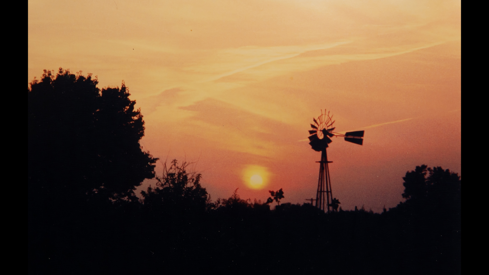 Photography - Sunset - photograph of golden yellow sunset looking through the trees and past a windmill in the distance.