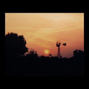 Photography - Sunset - photograph of golden yellow sunset looking through the trees and past a windmill in the distance.